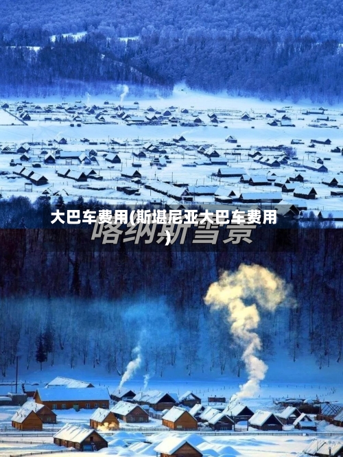 大巴车费用(斯堪尼亚大巴车费用)-第2张图片
