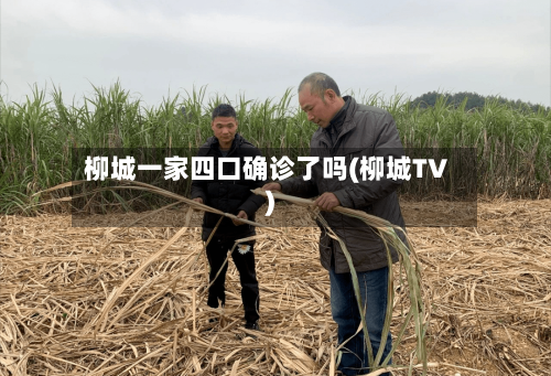柳城一家四口确诊了吗(柳城TV)-第2张图片