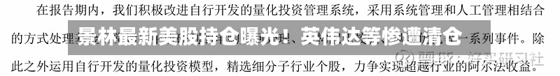 景林最新美股持仓曝光!英伟达等惨遭清仓-第1张图片