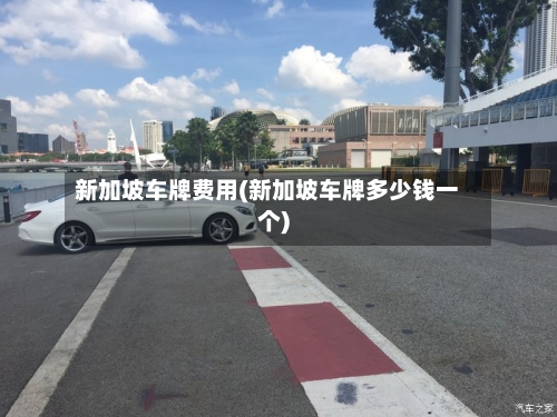 新加坡车牌费用(新加坡车牌多少钱一个)-第3张图片