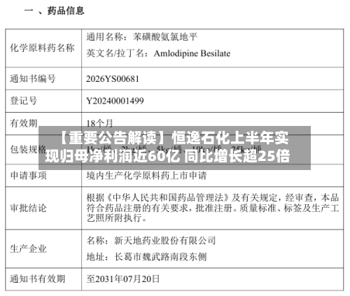 【重要公告解读】恒逸石化上半年实现归母净利润近60亿 同比增长超25倍-第3张图片