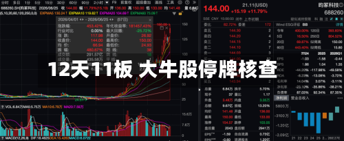 12天11板 大牛股停牌核查-第3张图片
