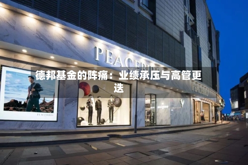 德邦基金的阵痛：业绩承压与高管更迭-第2张图片