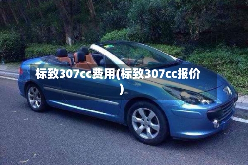 标致307cc费用(标致307cc报价)-第3张图片