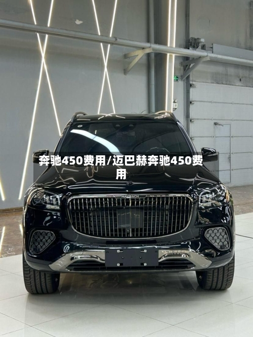 奔驰450费用/迈巴赫奔驰450费用