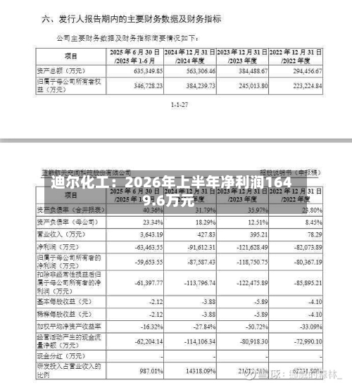 迪尔化工：2026年上半年净利润1649.6万元