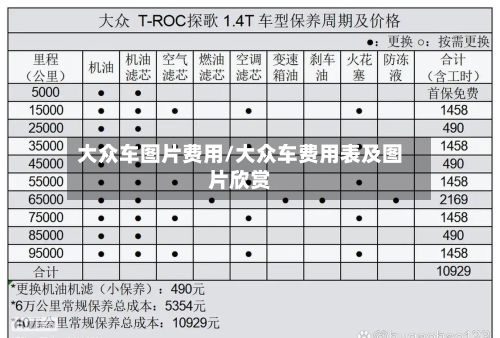 大众车图片费用/大众车费用表及图片欣赏