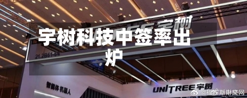 宇树科技中签率出炉-第2张图片