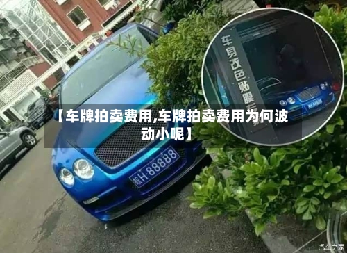 【车牌拍卖费用,车牌拍卖费用为何波动小呢】