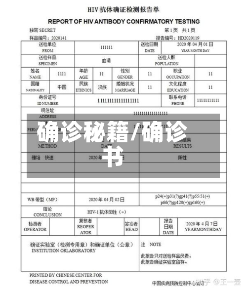 确诊秘籍/确诊书