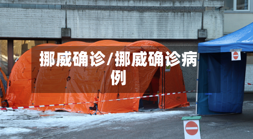 挪威确诊/挪威确诊病例-第2张图片