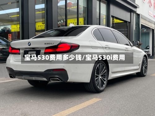 宝马530费用多少钱/宝马530i费用-第2张图片
