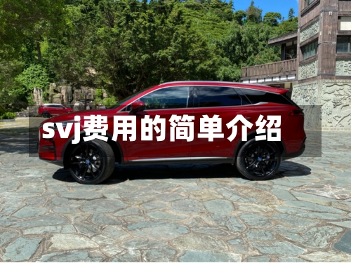 svj费用的简单介绍-第3张图片