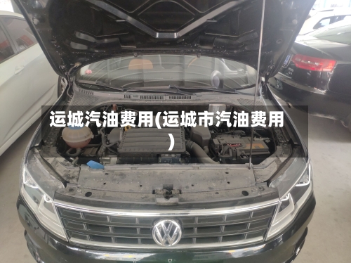 运城汽油费用(运城市汽油费用)