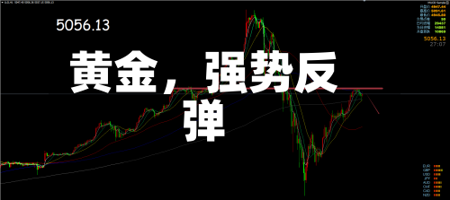 黄金	，强势反弹-第2张图片